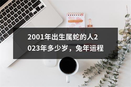 2001年出生属蛇的人2025年多少岁，兔年运程
