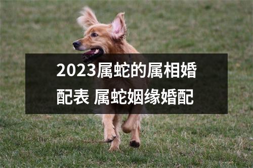2025属蛇的属相婚配表属蛇姻缘婚配