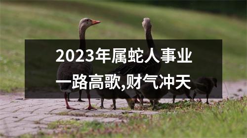2025年属蛇人事业一路高歌,财气冲天