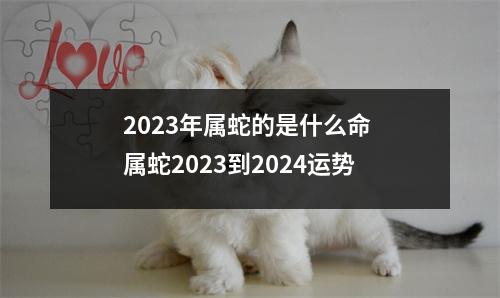 2025年属蛇的是什么命属蛇2025到2024运势