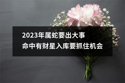 2025年属蛇要出大事命中有财星入库要抓住机会