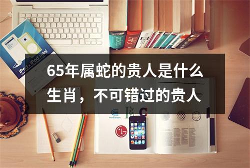 65年属蛇的贵人是什么生肖，不可错过的贵人