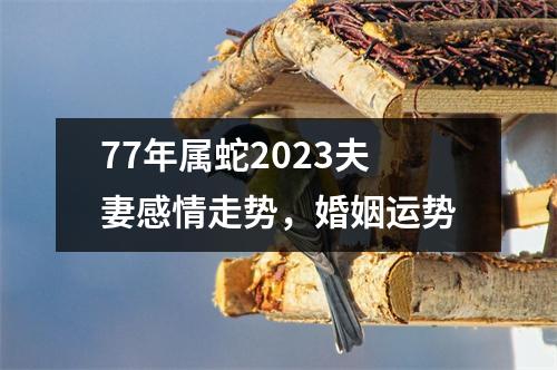 77年属蛇2025夫妻感情走势，婚姻运势