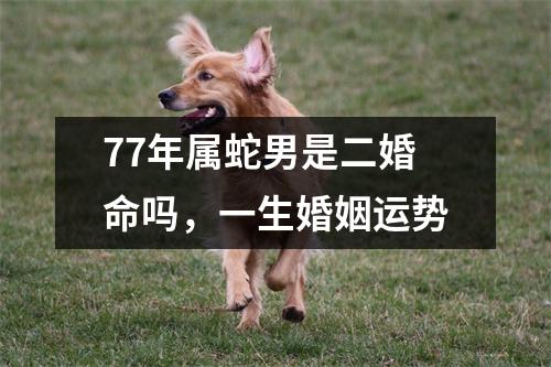 77年属蛇男是二婚命吗，一生婚姻运势