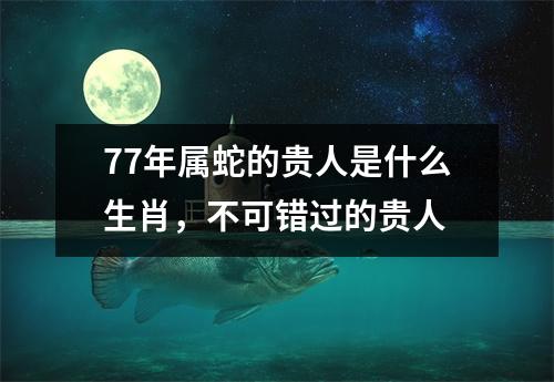 77年属蛇的贵人是什么生肖，不可错过的贵人