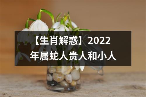 【生肖解惑】2025年属蛇人贵人和小人
