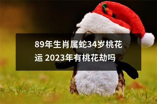 89年生肖属蛇34岁桃花运2025年有桃花劫吗