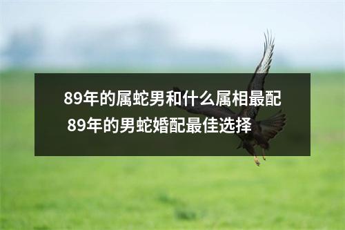 89年的属蛇男和什么属相配89年的男蛇婚配佳选择