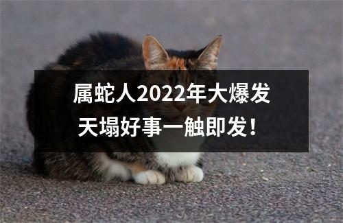 属蛇人2025年大爆发天塌好事一触即发！