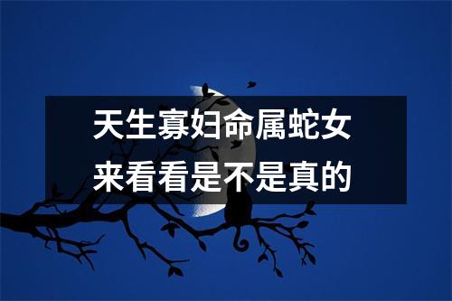 天生寡妇命属蛇女来看看是不是真的