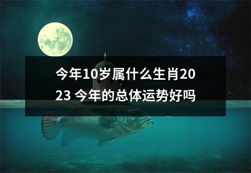 今年10岁属什么生肖2025今年的总体运势好吗