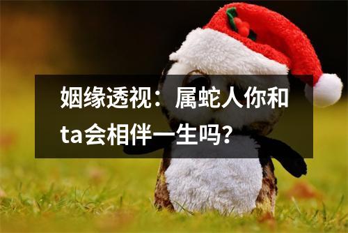 姻缘透视：属蛇人你和ta会相伴一生吗？