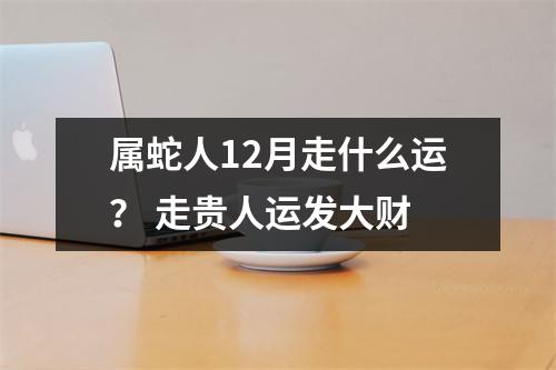 属蛇人12月走什么运？走贵人运发大财