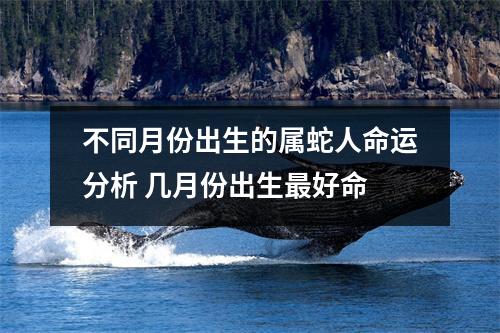 不同月份出生的属蛇人命运分析几月份出生好命