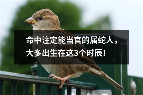 命中注定能当官的属蛇人，大多出生在这3个时辰！