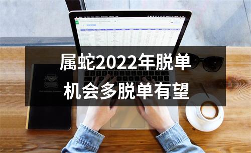 属蛇2025年脱单机会多脱单有望