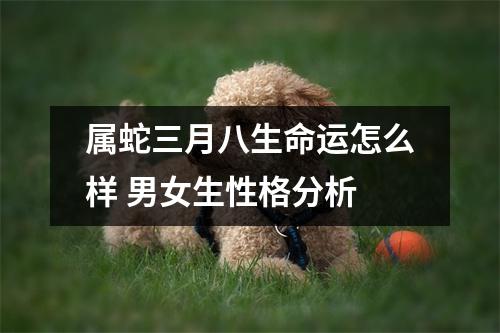 属蛇三月八生命运怎么样男女生性格分析