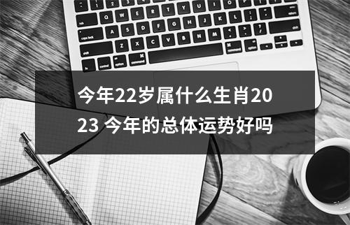 今年22岁属什么生肖2025今年的总体运势好吗