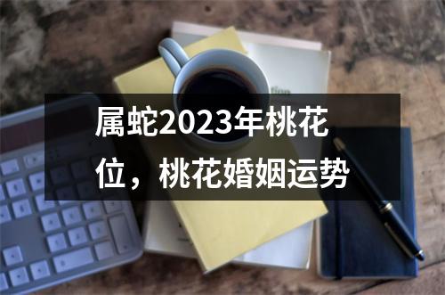 <h3>属蛇2025年桃花位，桃花婚姻运势