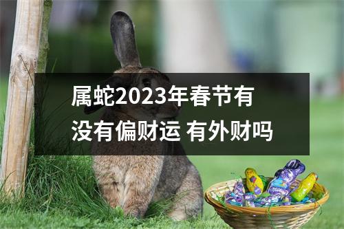 属蛇2025年春节有没有偏财运有外财吗