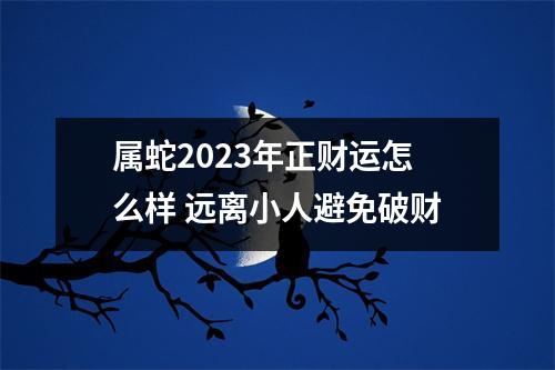 属蛇2025年正财运怎么样远离小人避免破财