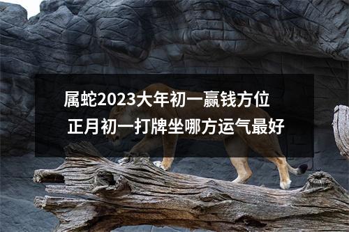 属蛇2025大年初一赢钱方位正月初一打牌坐哪方运气好