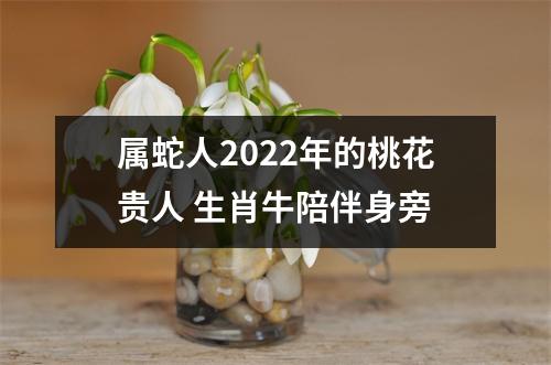 属蛇人2025年的桃花贵人生肖牛陪伴身旁