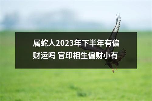 属蛇人2025年下半年有偏财运吗官印相生偏财小有
