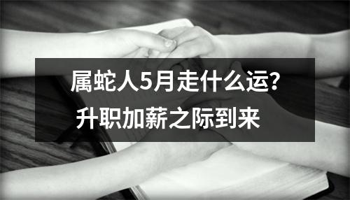 属蛇人5月走什么运？升职加薪之际到来