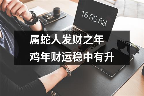 属蛇人发财之年鸡年财运稳中有升