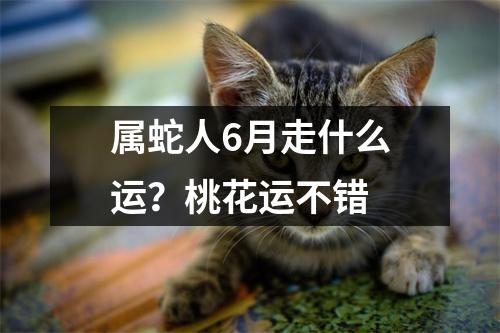 属蛇人6月走什么运？桃花运不错