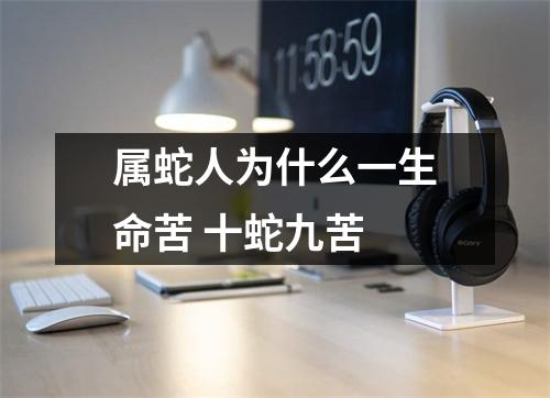 属蛇人为什么一生命苦十蛇九苦