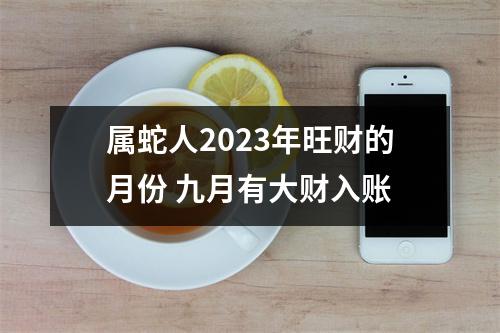 属蛇人2025年旺财的月份九月有大财入账