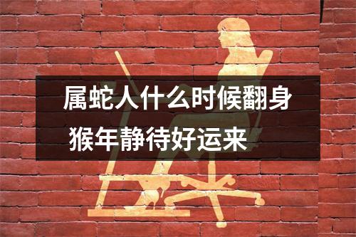 属蛇人什么时候翻身猴年静待好运来
