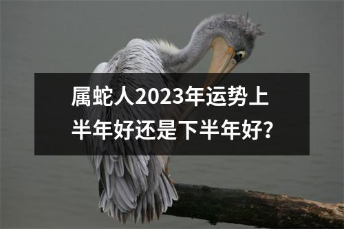 属蛇人2025年运势上半年好还是下半年好？