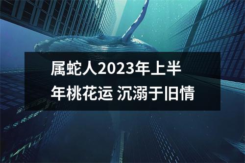属蛇人2025年上半年桃花运沉溺于旧情
