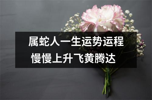 属蛇人一生运势运程慢慢上升飞黄腾达