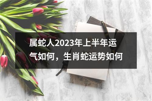 属蛇人2025年上半年运气如何，生肖蛇运势如何