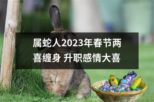 属蛇人2025年春节两喜缠身升职感情大喜