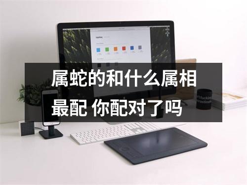 属蛇的和什么属相配你配对了吗