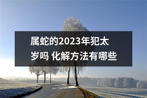 属蛇的2025年犯太岁吗化解方法有哪些
