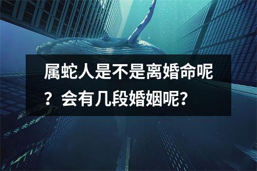 属蛇人是不是离婚命呢？会有几段婚姻呢？