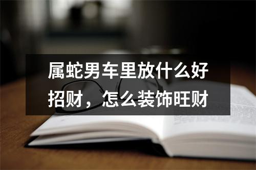 属蛇男车里放什么好招财，怎么装饰旺财