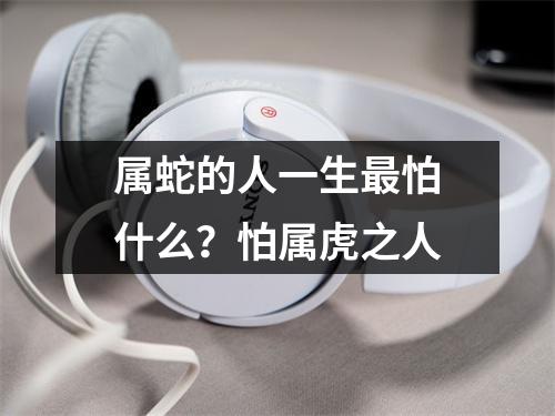 <h3>属蛇的人一生怕什么？怕属虎之人