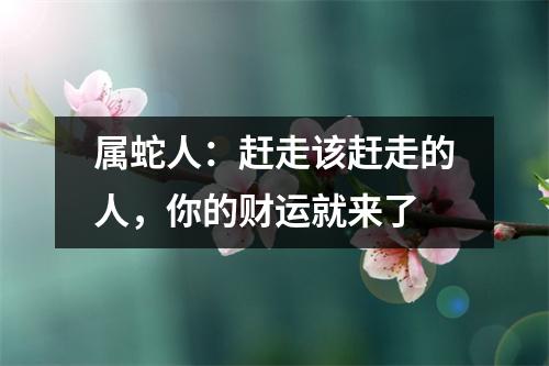 属蛇人：赶走该赶走的人，你的财运就来了
