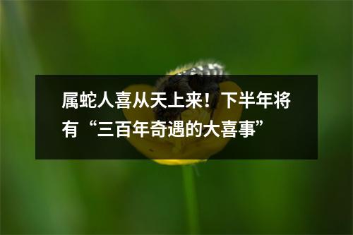 属蛇人喜从天上来！下半年将有“三百年奇遇的大喜事”