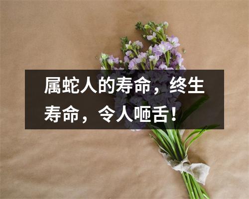 属蛇人的寿命，终生寿命，令人咂舌！