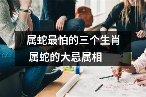 属蛇怕的三个生肖属蛇的大忌属相