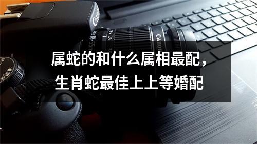 属蛇的和什么属相配，生肖蛇佳上上等婚配