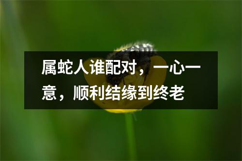 属蛇人谁配对，一心一意，顺利结缘到终老